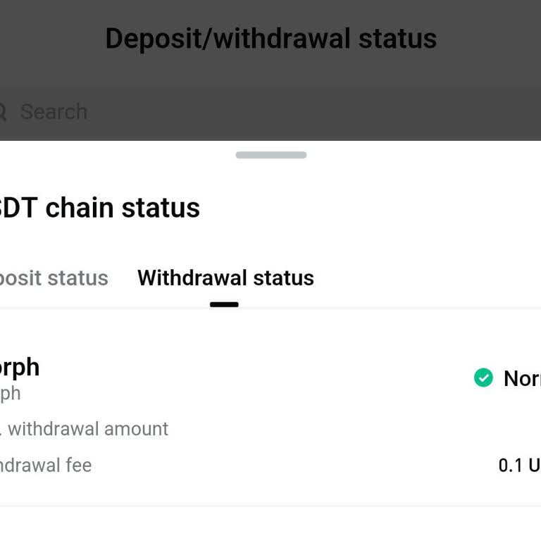 Yanlış Ağ Seçimi Nedeniyle USDT Transferi Hatası