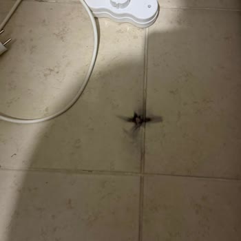 Garanti Kapsamındaki Buzdolabım Servis Hatası Sonrası Soğutmuyor Ve Yeniden Değişim İstiyorum