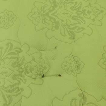 Yatak Yayları Kırıldı, Garanti Sürecinde Servis Yanıt Vermiyor