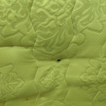 Yatak Yayları Kırıldı, Garanti Sürecinde Servis Yanıt Vermiyor