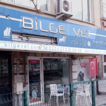 Bilgevet Yanlış Ameliyat Sonucu Kedimin Ölümü Ve 100 Bin Tl Masrafı İçin Sorumluluk Talebi