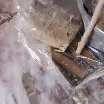 Doğaşık Fidan Gelen Ürünlerin Görsellerle Hiçbir Alakası Yok