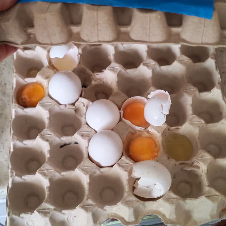 BİM Gökdere Şubesinde Bozulmuş Yumurta Kolisi İçin İade Talebi