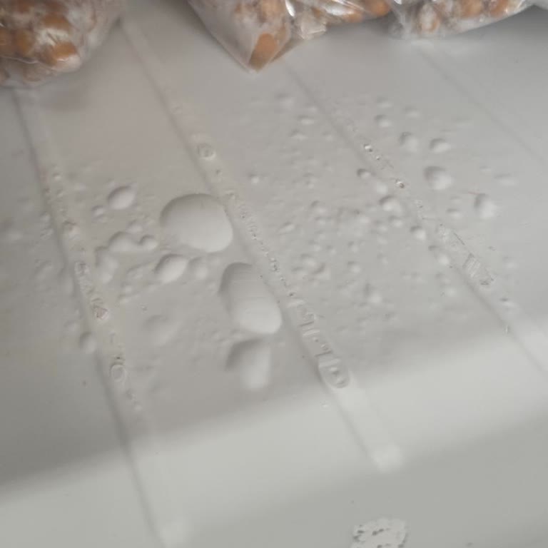 Profilo Buzluk Şişmesi Ve Servisin Müşteriyi Suçlaması