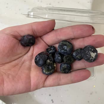 Yüksek Fiyatlı Yaban Mersininde Çürük Ürün Ve Eksik Son Kullanma Tarihi