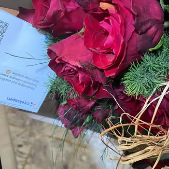 Solmuş Güller Ve Cevapsız Şikayet: Ücret İadesi Talebi