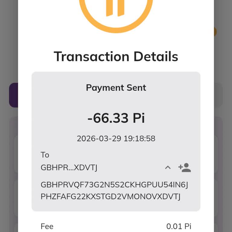 Pi Network Coins Vanished Automatically