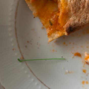 Donmuş Pizza İçinde Plastik Parça: Sağlık Riski Ve İade Talebi