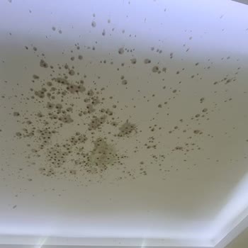 Patlayan Nar Suyu Göz Yanığı Ve Sağlık Riskleri