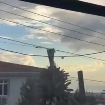 Bornova Belediyesi Park Bahçeler Müdürlüğünün Sorumsuzluğu