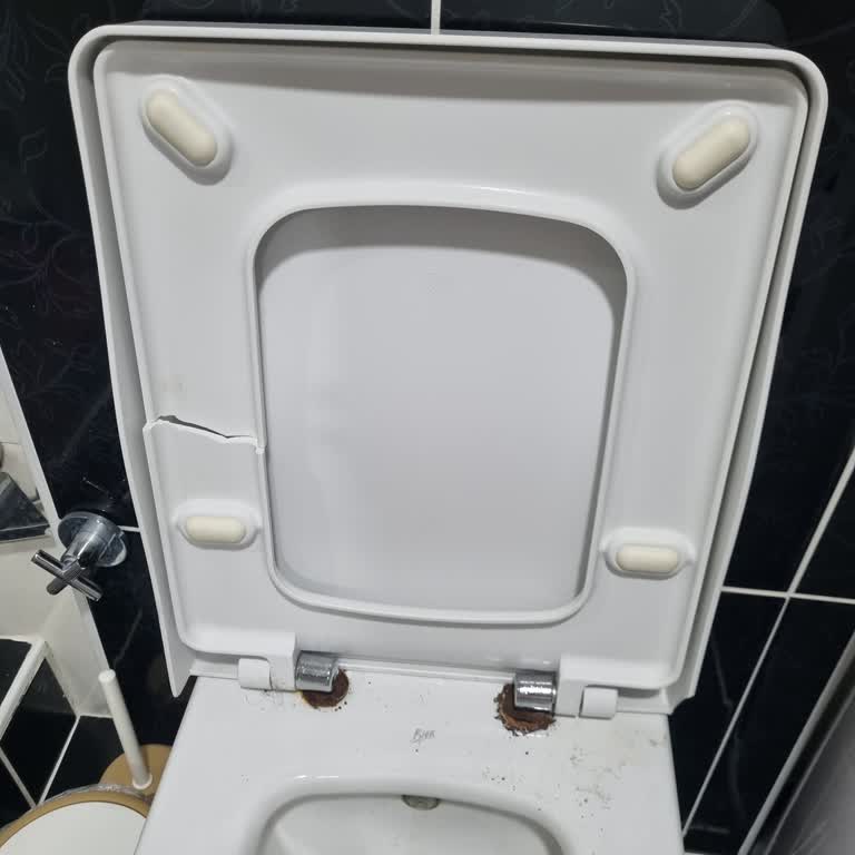 Bien Klozet Kapağı İçin Uyumlu Parça Bulamama Sorunu