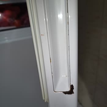 Paslanan Buzdolabı Kapak Değişimi Talebi Ve Servis Reddi