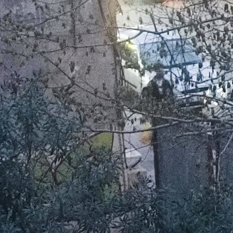 Kablo Kesilmesi Nedeniyle 5 Gün Süren İnternet Ve TV Kesintisi Ve Müdahale Yokluğu