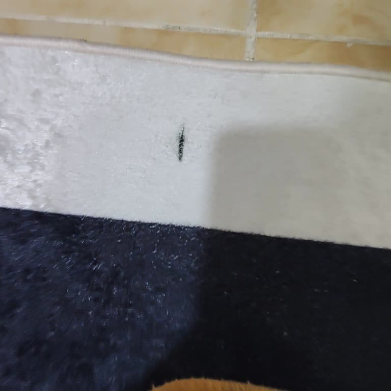 Arsu Home Kullanılmış Ve Lekeli Halı İadesi Talebi!