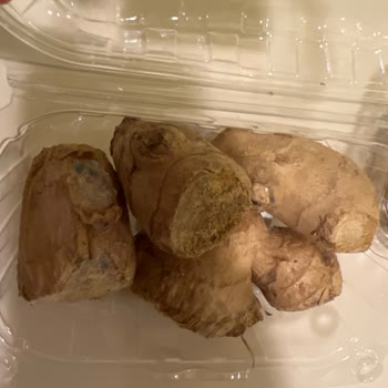 Bozulmuş Ve Küflü Ürün İçin Verilen Değişim Gelmedi, İade Talebi