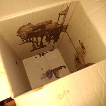 Gratis’te Tekrarlayan Kargo Ve Hasarlı Ürün Sorunu