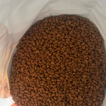 İdefix’te Satılan Pro Plan Kedi Maması İçin İade Talebi