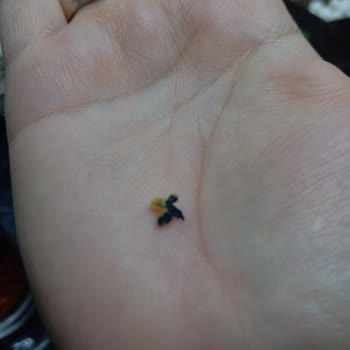 BİM Ballı Hardallı Cipsinde Bulunan Plastik Parça Sağlık Endişesi