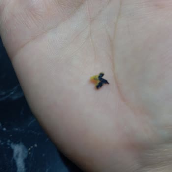 BİM Ballı Hardallı Cipsinde Bulunan Plastik Parça Sağlık Endişesi