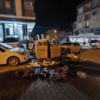 Akçaburgaz’da Çöp Konteynerleri Nedeniyle Sürekli Koku, Haşere Ve Sağlık Riski