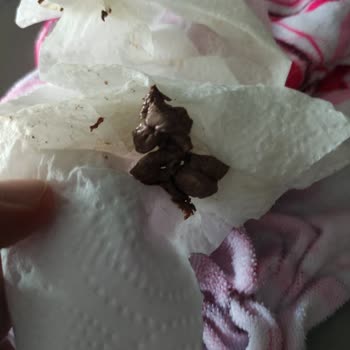 Arnavutköy Avlu AVM'de Kıyma İçinde Alakasız Et Parçaları