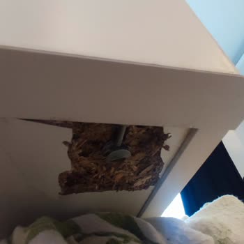 Garanti Kapsamındaki Konsol Ayağının Kendiliğinden Çıkması Ve Ücret Talebi