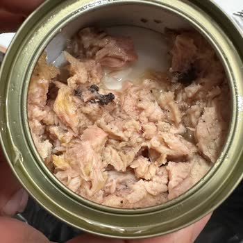 A101 Sevgi Yolu Şubesinde Küflü Dardanel Ton Balığı