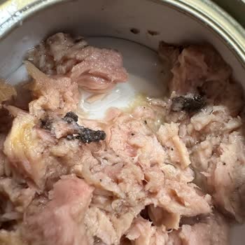 A101 Sevgi Yolu Şubesinde Küflü Dardanel Ton Balığı