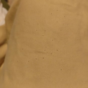 İki Yıkamada Tüylenen Pantolon Ve Hırka