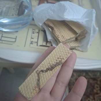 Eti Hoşbeş Bisküvi Şekli Bozulmuş Ve Hijyen Şikayeti