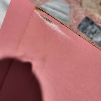 Arkut Orman Ürünleri Talebime Karşı Çok İlgisiz Davrandılar