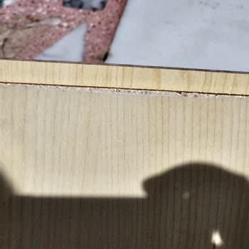 Arkut Orman Ürünleri Talebime Karşı Çok İlgisiz Davrandılar