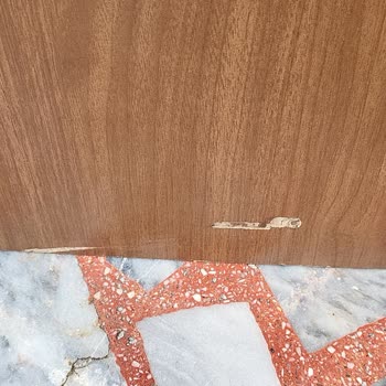 Arkut Orman Ürünleri Talebime Karşı Çok İlgisiz Davrandılar