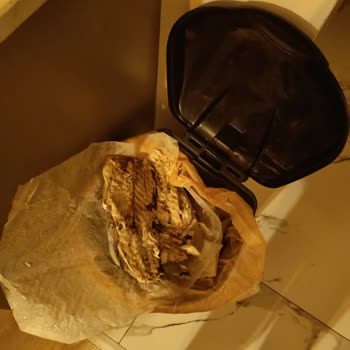 Balıkta Bayat Kokudan Zehirlenme Ve Ücret İadesi Talebi