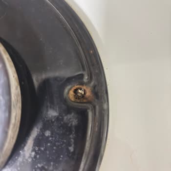 Bosch Ocağının 5 Yılda Çöküşü