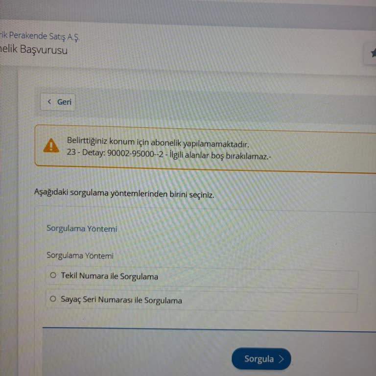 Boğaziçi Elektrik - Bedaş E-Devlet Üzerinden Abonelik Başvurusu Hatası