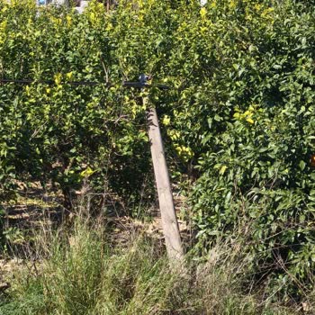 Muğla Ortaca Sarıgerme'de 1,5 Aylık İnternet Kesintisi Ve Yanıtsız Destek