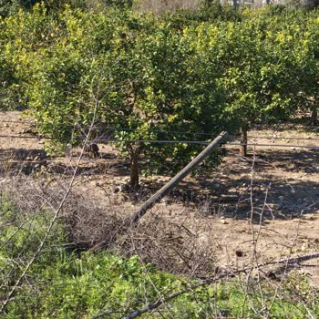 Muğla Ortaca Sarıgerme'de 1,5 Aylık İnternet Kesintisi Ve Yanıtsız Destek