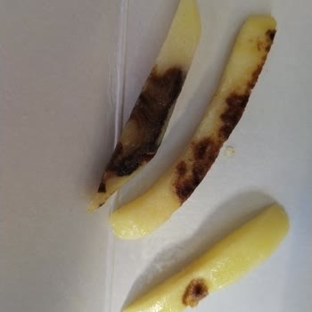 Şok’tan Alınan İnci İnce Çıtır Patateslerde Çürük Ürün Sorunu