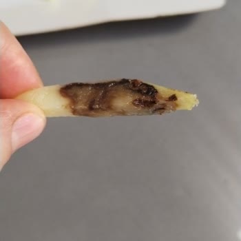 Şok’tan Alınan İnci İnce Çıtır Patateslerde Çürük Ürün Sorunu