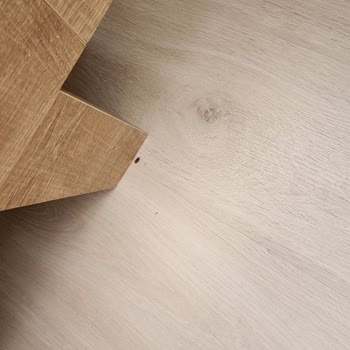 Kelebek Mobilya’nın Tahta Kurusuna Maruz Kalan Yatağı İçin Sorumluluk Reddetmesi Ve Mağduriyetimiz