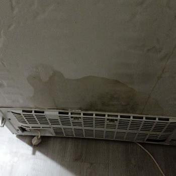 Bosch Buzdolabımda Üretim Hatası Boya Dökülmesi Ve Su Sızdırması Ücretsiz Onarım Talebi