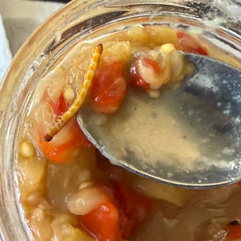 Burcu Konserve Açtığımda Kurt Böcek Buldum