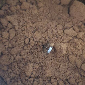 Diyarbakır Metro Market'ten Bozuk Kahve Ve Aşırı Kötü Koku Şikayeti