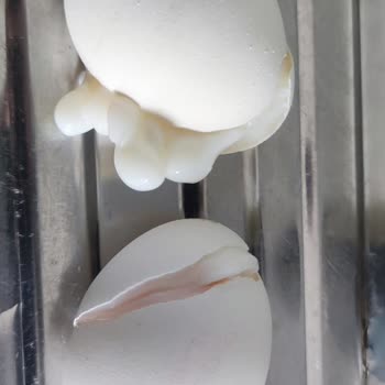 Bili Bili Yumurta Kalitesinde Çatlamalar Ve Tadı Bozuk