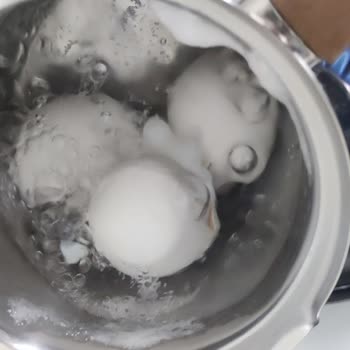 Bili Bili Yumurta Kalitesinde Çatlamalar Ve Tadı Bozuk