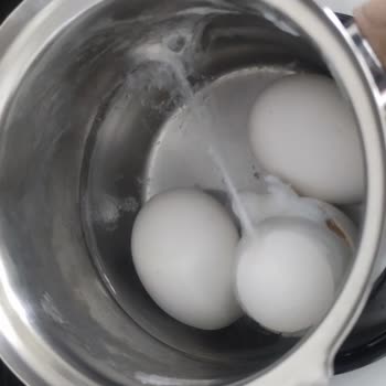 Bili Bili Yumurta Kalitesinde Çatlamalar Ve Tadı Bozuk