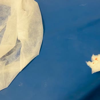 Altın Koza Hastanesi Çocuk Acilinde Hijyen Eksikliği Ve Personel Disiplinsizliği