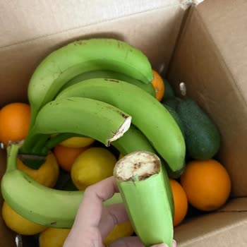 Anamur Dalından Sert ve Kırık Ürünler, 1100 TL’lik Ödeme Karşısında Kalitesiz Hizmet