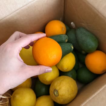 Anamur Dalından Sert ve Kırık Ürünler, 1100 TL’lik Ödeme Karşısında Kalitesiz Hizmet